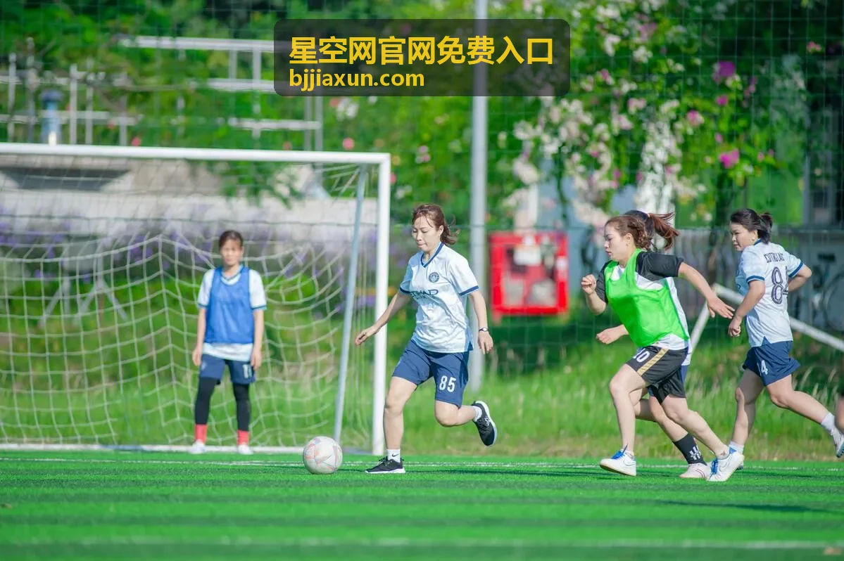 星空网官网免费入口服务入口导航封面图