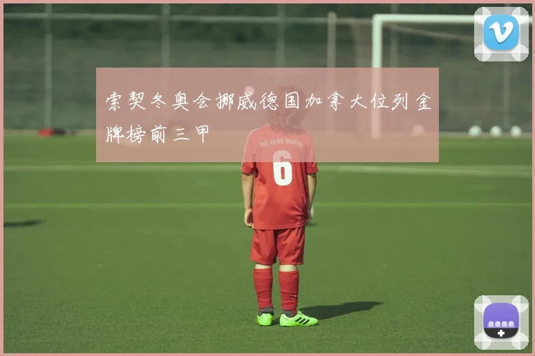 索契冬奥会挪威德国加拿大位列金牌榜前三甲