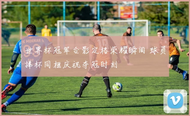世界杯冠军合影定格荣耀瞬间 球员捧杯同框庆祝夺冠时刻