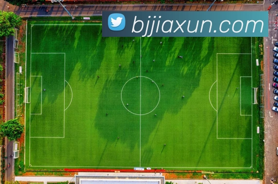 世界杯官方入口平台生态图