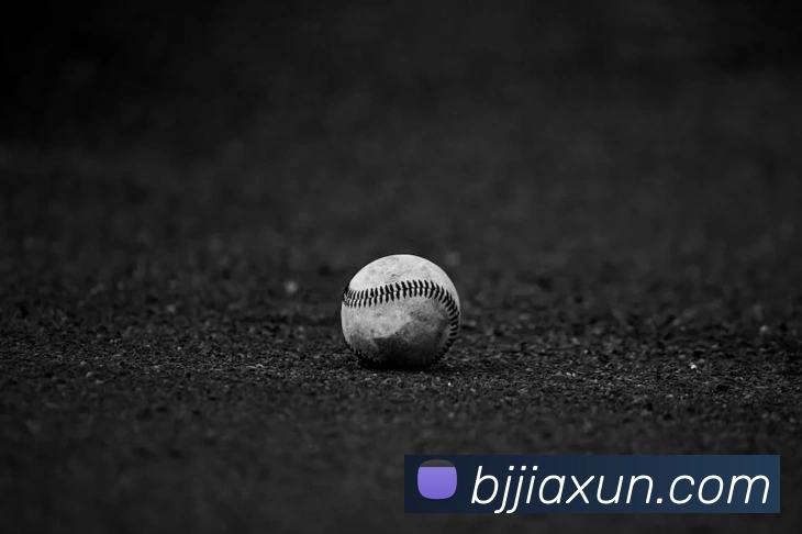 奖项4